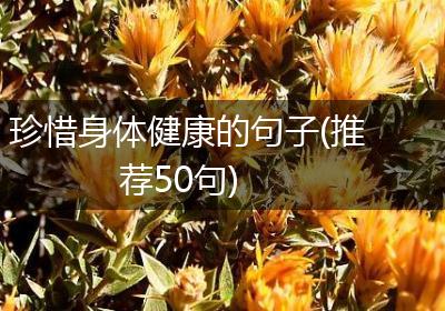 珍惜身体健康的句子(推荐50句)