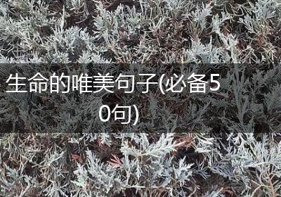 生命的唯美句子(必备50句)