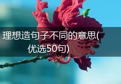 理想造句子不同的意思(优选50句)
