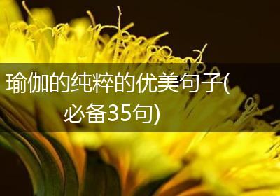 瑜伽的纯粹的优美句子(必备35句)
