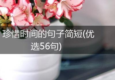 珍惜时间的句子简短(优选56句)