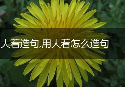 大着造句,用大着怎么造句