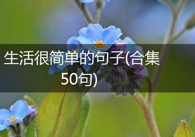 生活很简单的句子(合集50句)