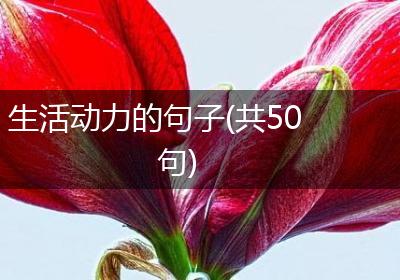 生活动力的句子(共50句)