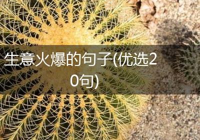生意火爆的句子(优选20句)