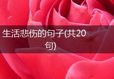 生活悲伤的句子(共20句)