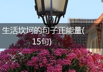 生活坎坷的句子正能量(15句)