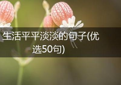 生活平平淡淡的句子(优选50句)