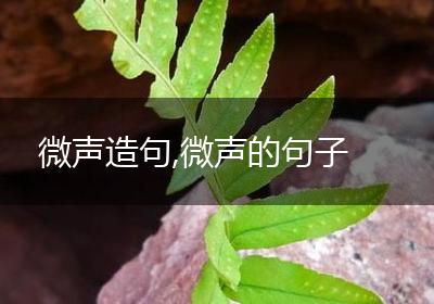 微声造句,微声的句子