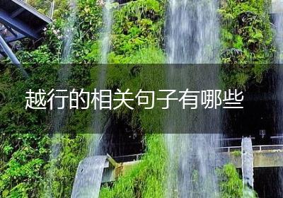 越行的相关句子有哪些