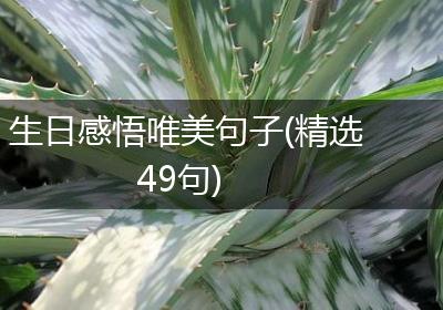 生日感悟唯美句子(精选49句)