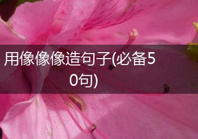 用像像像造句子(必备50句)