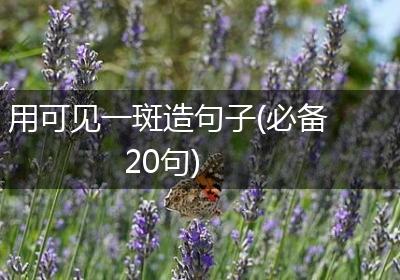 用可见一斑造句子(必备20句)