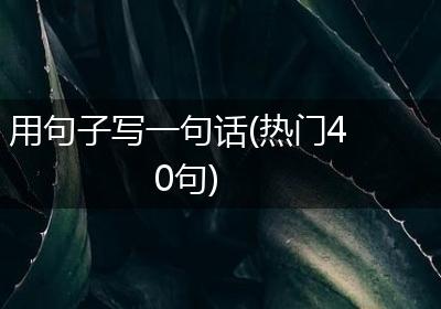 用句子写一句话(热门40句)