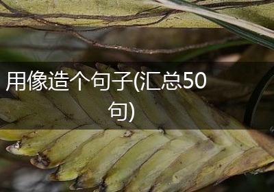 用像造个句子(汇总50句)