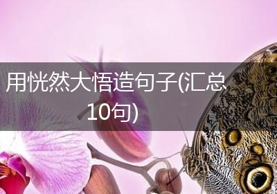 用恍然大悟造句子(汇总10句)
