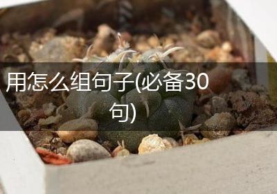 用怎么组句子(必备30句)