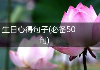 生日心得句子(必备50句)