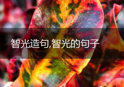 智光造句,智光的句子