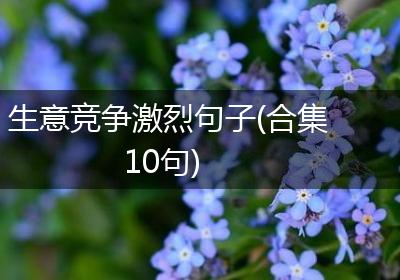 生意竞争激烈句子(合集10句)