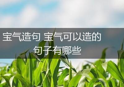 宝气造句 宝气可以造的句子有哪些