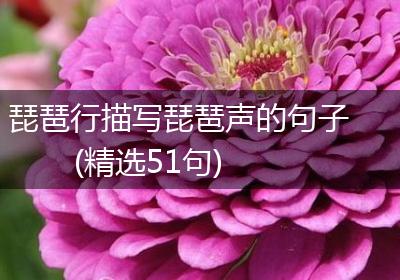 琵琶行描写琵琶声的句子(精选51句)