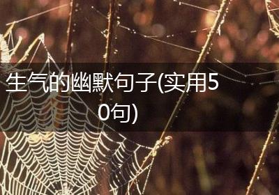 生气的幽默句子(实用50句)