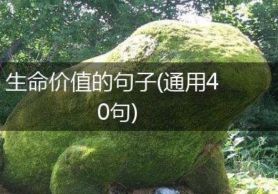 生命价值的句子(通用40句)