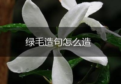 绿毛造句怎么造
