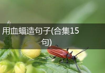 用血蝠造句子(合集15句)