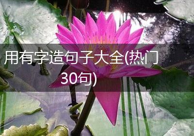 用有字造句子大全(热门30句)
