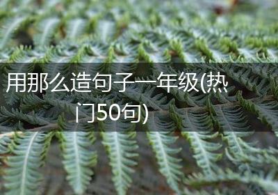 用那么造句子一年级(热门50句)