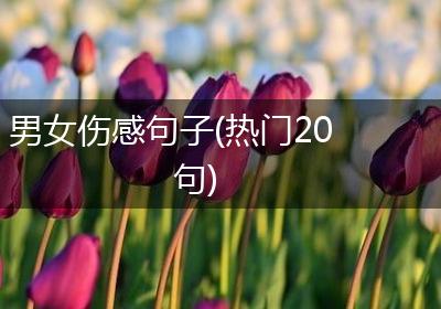 男女伤感句子(热门20句)