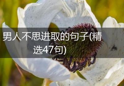 男人不思进取的句子(精选47句)