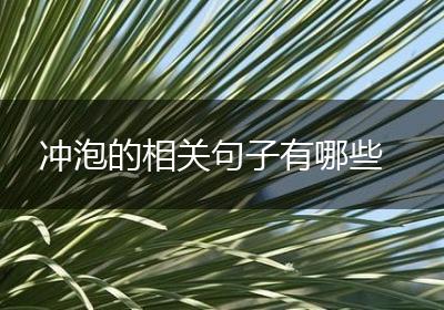 冲泡的相关句子有哪些