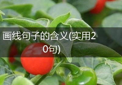 画线句子的含义(实用20句)