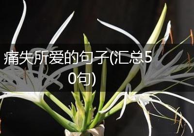 痛失所爱的句子(汇总50句)