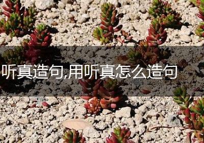 听真造句,用听真怎么造句