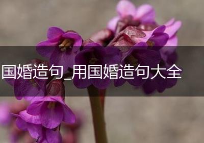 国婚造句_用国婚造句大全