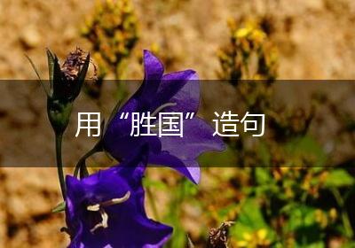 用“胜国”造句