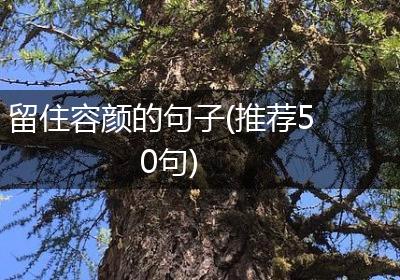 留住容颜的句子(推荐50句)
