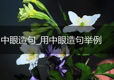 中眼造句_用中眼造句举例