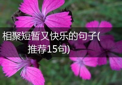 相聚短暂又快乐的句子(推荐15句)