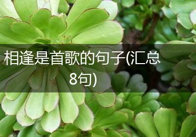 相逢是首歌的句子(汇总8句)