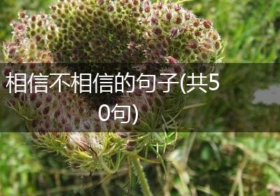 相信不相信的句子(共50句)
