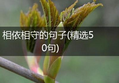 相依相守的句子(精选50句)