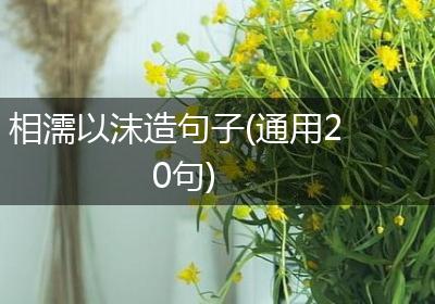 相濡以沫造句子(通用20句)