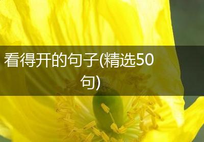 看得开的句子(精选50句)