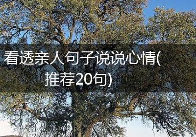 看透亲人句子说说心情(推荐20句)