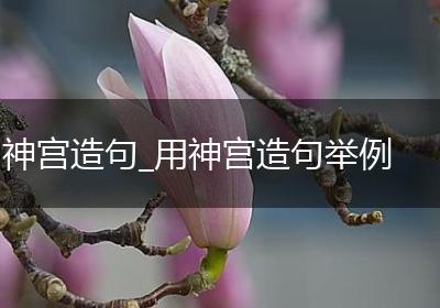 神宫造句_用神宫造句举例